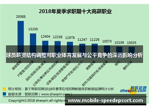球员薪资结构调整对职业体育发展与公平竞争的深远影响分析