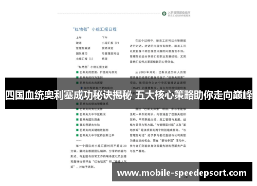 四国血统奥利塞成功秘诀揭秘 五大核心策略助你走向巅峰