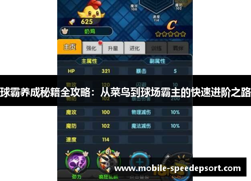 球霸养成秘籍全攻略：从菜鸟到球场霸主的快速进阶之路