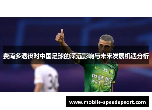 费南多退役对中国足球的深远影响与未来发展机遇分析