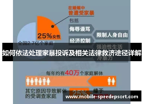 如何依法处理家暴投诉及相关法律救济途径详解