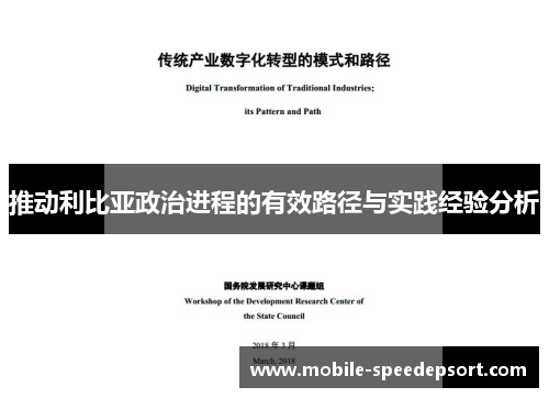 推动利比亚政治进程的有效路径与实践经验分析