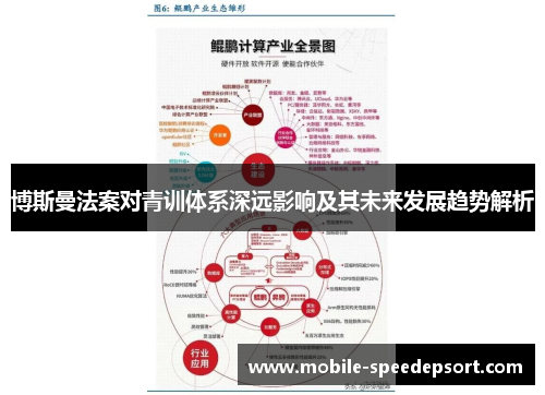 博斯曼法案对青训体系深远影响及其未来发展趋势解析