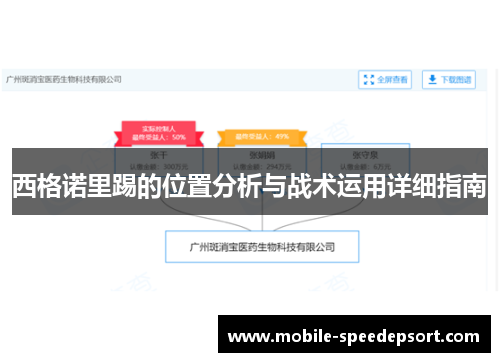 西格诺里踢的位置分析与战术运用详细指南