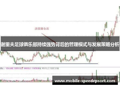 谢里夫足球俱乐部持续强势背后的管理模式与发展策略分析