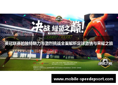 英冠联赛的独特魅力与激烈挑战全面解析足球激情与荣耀之旅