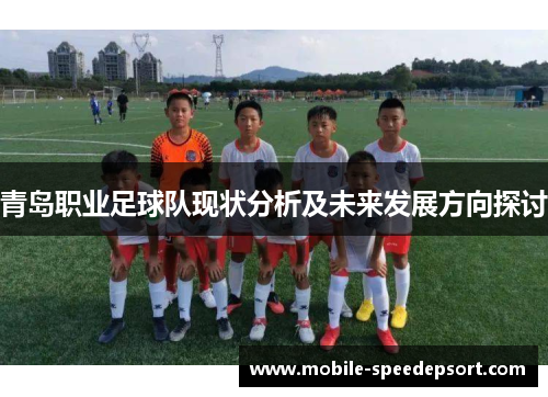青岛职业足球队现状分析及未来发展方向探讨